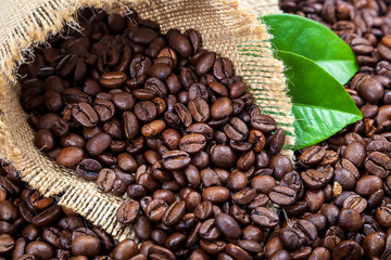 Coffee beans with green leaves