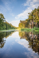 Fototapeta Jezioro w lesie, odbicie drzew w tafli wody obraz
