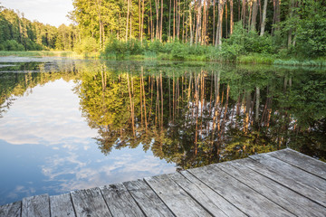 Jezioro w lesie, odbicie drzew w tafli wody - obrazy, fototapety, plakaty