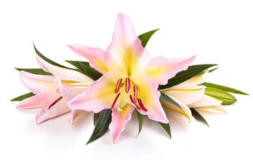 Pink lilies arrangement.