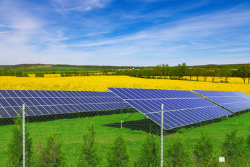 Solar panels on green grass, blue sky