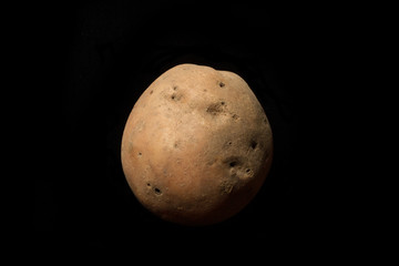 Potato on the black background
