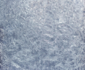 The texture of the snow and frost (background)