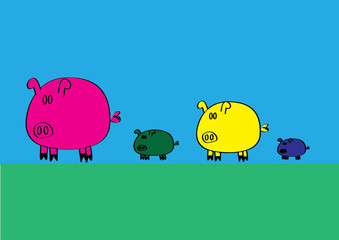 pigs nature colorfull