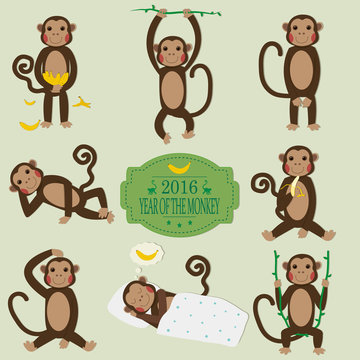 Set of Chinese Zodiac - Monkeys. Vector illustration.