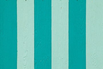 Texture of wood color background