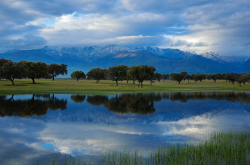 Laguna al pie de la Sierra de Gredos, con el caracterísito bosque de encina.