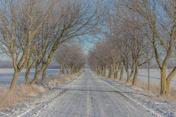 Obraz premium winter in Mecklenburg