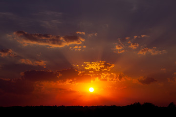 summer sunset in the field. a hot evening.