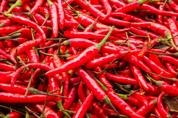 Red chilli background.