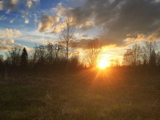 Naklejka na ściany i meble Sunset over a field and the wood
