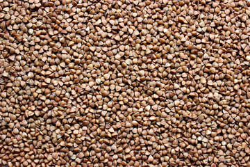 Buckwheat grain