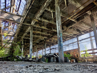 Abandoned factory with broken windows and growing weeds - landscape photo