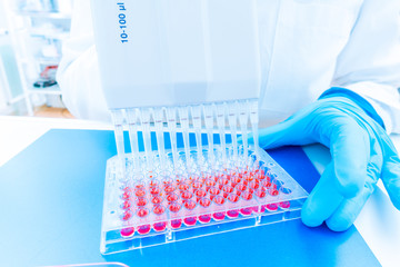 96 well plate for PCR processing, microbiological laboratory