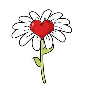 Flower of love. Red heart symbol of love and Daisy Petals. Fanta