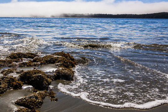 Rocky Shoreline near Tofino, on Vancouver Island, BC