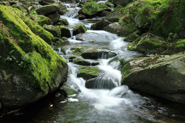 Mountain stream