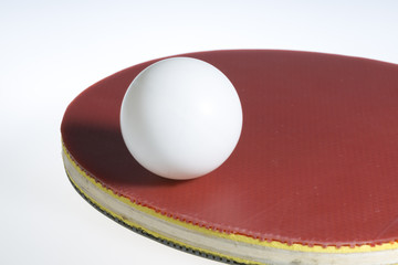 Table Tennis Ball and Paddle