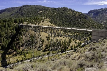 Fototapeta na wymiar Bridge in Yellowstone