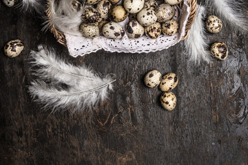 Basket with quail  eggs and feathers on rustic wooden background, top view, horizontal