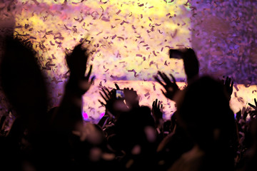 Genuine shot of many hands in the air on a Dutch EDM festival during a confetti burst.