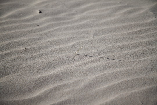 Feiner Sandstrand mit Strohalm in Schottland