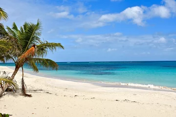 Crédence de cuisine en plexiglas Plage tropicale Flamenco Beach on Culebra island