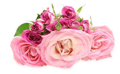 薔薇