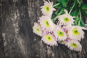 White Chrysanthemum flowers on wooden table