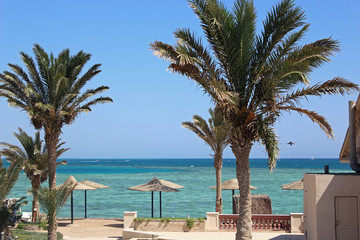 Fototapeta na wymiar Tropical coast in Egypt