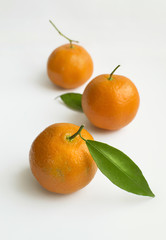 Mandarin fruits with green leaf on a white background