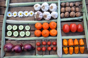 seis compartimentos de verduras