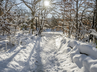 Central Park, New York City