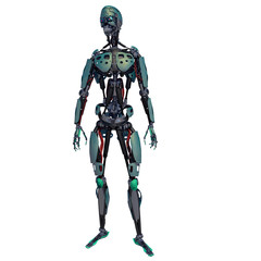 Cyborg Robot At Attention
White Isolated Background