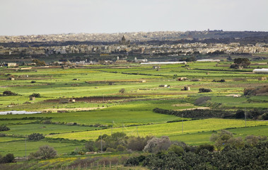 Fototapeta na wymiar Landscape near Rabat. Malta