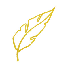 Golden yellow velvet feather symbol isolated 