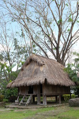 Fototapeta na wymiar Traditionelles Kalinga Haus, Provinz Kalinga, Philippinen