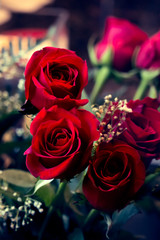 Closeup of red roses in a vase background