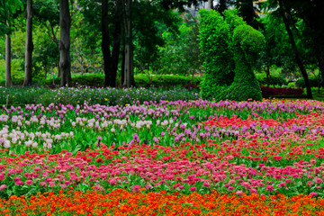 Colourful Flowerbeds