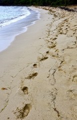 Foot prints in the sand