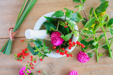 Fresh herbs in the mortar, alternative medicine