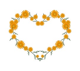 Beautiful Orange Daisy Flowers in Heart Shape