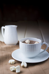Fototapeta na wymiar Cocoa drink with marshmallows
