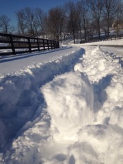 winter track