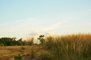 Tropical laterite soil or red earth background. Red mars seamless sand background.with blue sky.