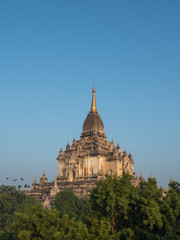 Fototapeta na wymiar That Byin Nyu pagoda in Bagan in the morning