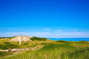 Cape Cod Sandy Neck Beach Massachusetts US