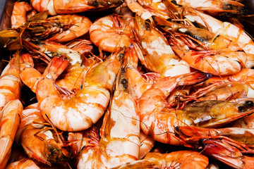 Grilled shrim ready to be serve