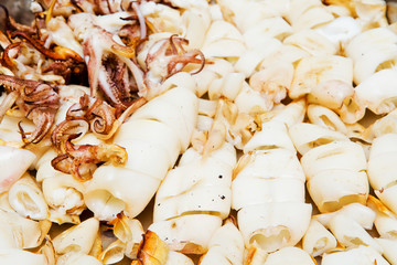 Grilled Octopus ready to eat