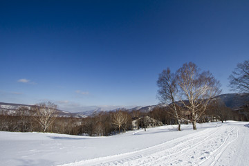 冬晴れの高原